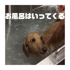 Rina_20200530171036