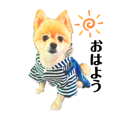 mimi_20200530194119