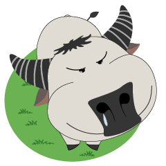Albino buffalo cute
