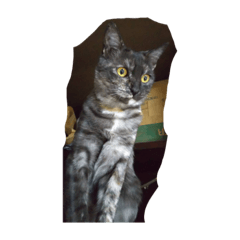 tomomi_20200530191751