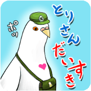 I love birds