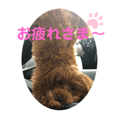 hana_20200530202258