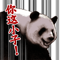 DOUBUTSU NAANI Sticker -for Taiwan-