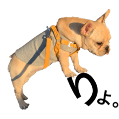 omochi_20200530214607