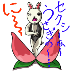 Sexy rabbit 2