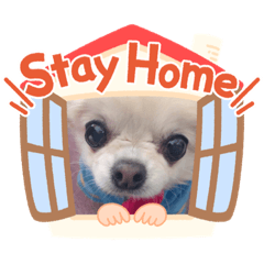 Rie_family2020/5/30-kurumiMemory