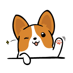 Corgi Dog KaKa - Cutie