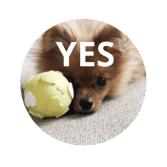 Junko_20200530234008