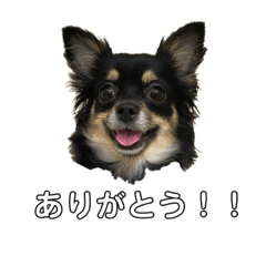 cream_20200531051027