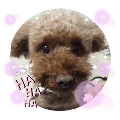 yukari_20200531112620