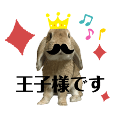 saya_20200531124258