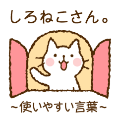 Nice and cute kitty (shironeko)