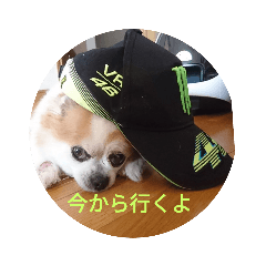 RISA_20200531101613