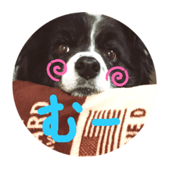 haruna_20200531085606