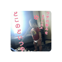 alice_20200531141241