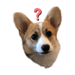 tonton_202005311520431