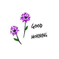 risa_20200524091752