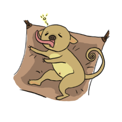 Kinkajou Qu-chan