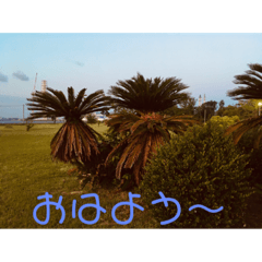 HS_20200531125228