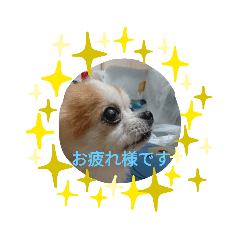 RISA_20200531142303
