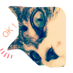 Haruna_20200531144204