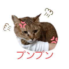 omochi_20200531173140