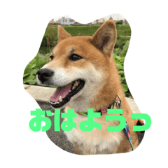 hana_20200531193606