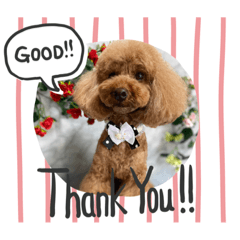 cocoa.urara.sora.kawaii