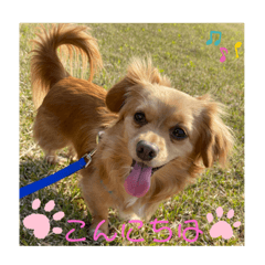 yukari_20200531211638