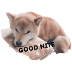 hayato_20200531202158