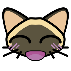 Momo the Siamese Cat