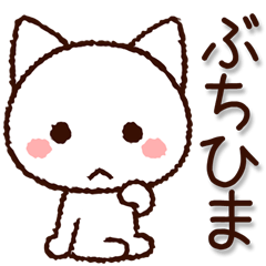Yamaguchi dialect cat
