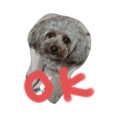 Nanami_20200531220202