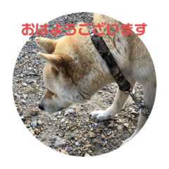 おはようぽんたくん3