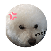 MOKOMOFU_1010