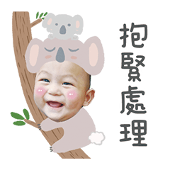小動物萌趣