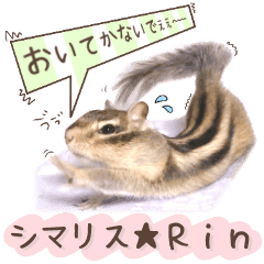 シマリス rin Line スタンプ Line Store シマリス rin Line スタンプ Line Store