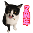 牛柄の猫のうし Line スタンプ Line Store