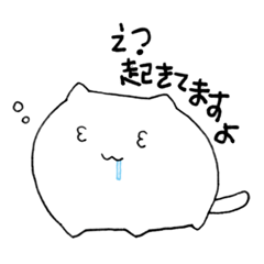 cat-buns2
