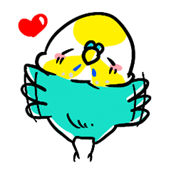 Daily life of a budgerigar3