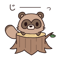 Cheerful raccoon dog