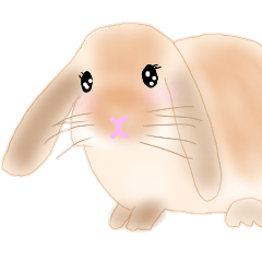Rabbit -healing-2