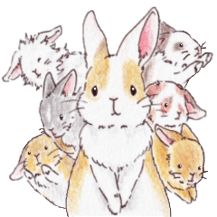 yuru fuwa rabbit life2