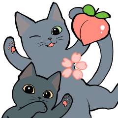 Momo&Sakura Blue Cats