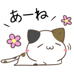  Gunma dialect Calico cat & dog