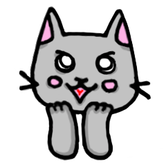GRAY CAT  comment