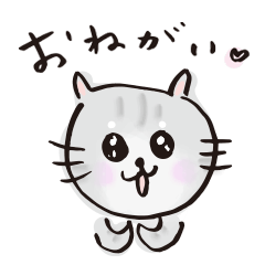 My child cat [Mackerel]