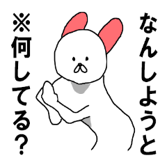 rabbit HAKATA