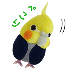 オカメインコの きっぴー 1