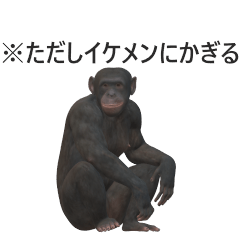 animal japanese langage